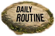 Daily routine