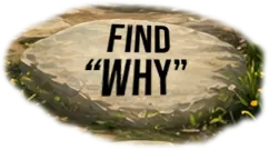 Find why